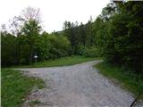 Križe - Planica (Paragliding site Gozd)